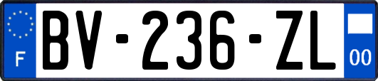 BV-236-ZL