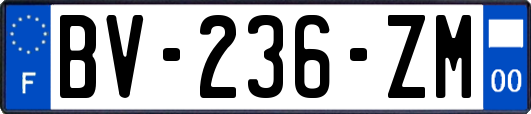 BV-236-ZM