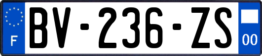 BV-236-ZS