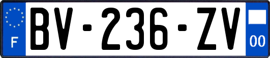 BV-236-ZV