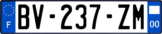 BV-237-ZM