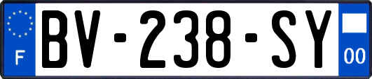 BV-238-SY