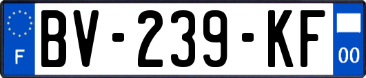 BV-239-KF