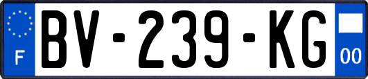BV-239-KG