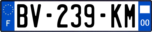 BV-239-KM