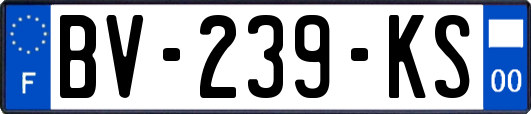 BV-239-KS