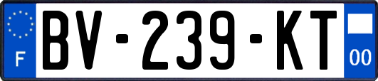 BV-239-KT