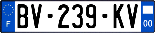 BV-239-KV
