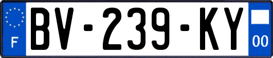 BV-239-KY