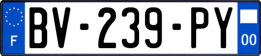 BV-239-PY