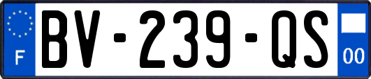 BV-239-QS