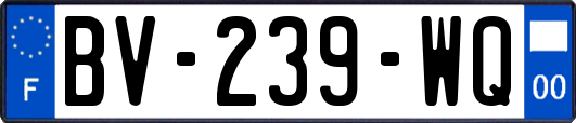 BV-239-WQ