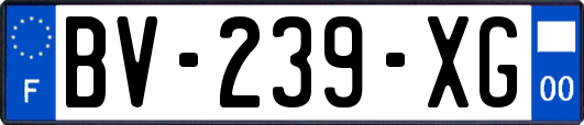 BV-239-XG