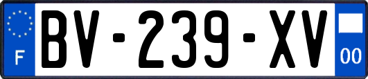 BV-239-XV