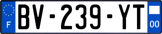 BV-239-YT