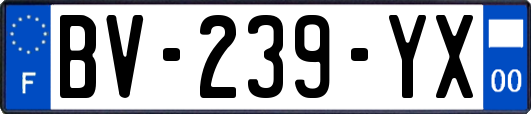 BV-239-YX