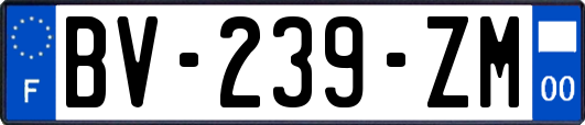 BV-239-ZM