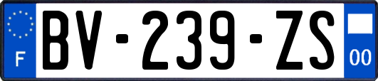 BV-239-ZS