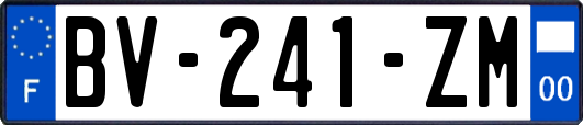 BV-241-ZM