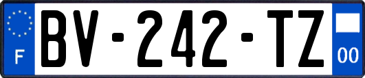 BV-242-TZ