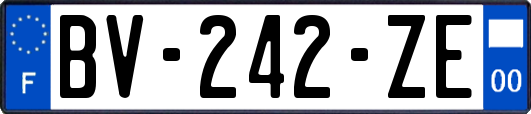 BV-242-ZE