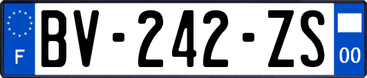 BV-242-ZS