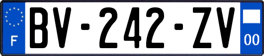 BV-242-ZV