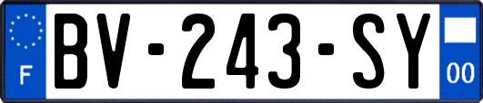 BV-243-SY