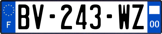 BV-243-WZ