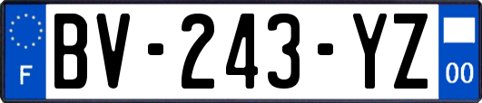 BV-243-YZ