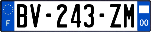 BV-243-ZM