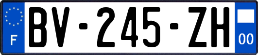 BV-245-ZH