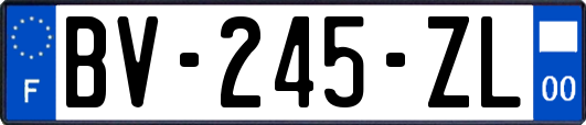 BV-245-ZL