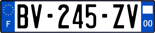 BV-245-ZV