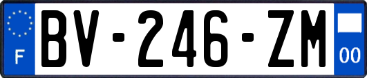 BV-246-ZM