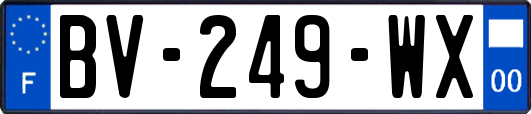 BV-249-WX