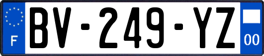 BV-249-YZ