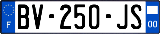 BV-250-JS