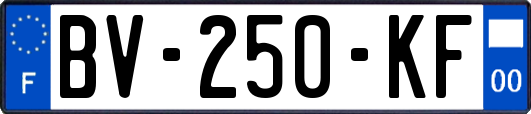 BV-250-KF