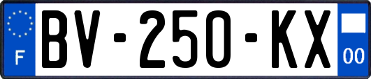BV-250-KX