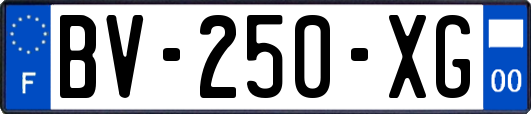 BV-250-XG