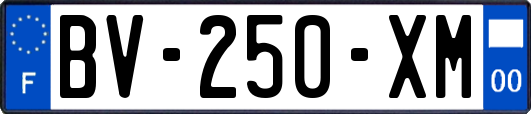 BV-250-XM