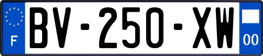 BV-250-XW