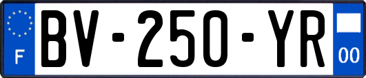 BV-250-YR