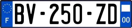 BV-250-ZD