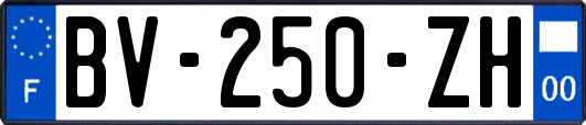 BV-250-ZH