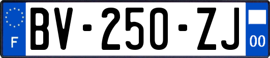 BV-250-ZJ