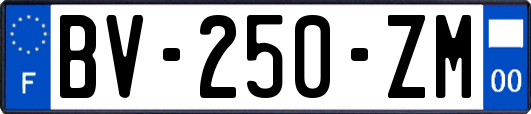 BV-250-ZM