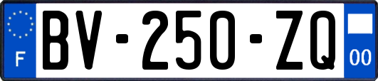 BV-250-ZQ