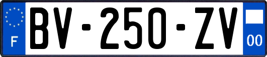 BV-250-ZV